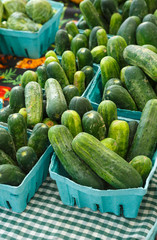 Cucumbers at a Local Farmer's Market
