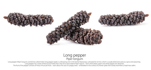Long pepper (Piper longum) isolated on white background - obrazy, fototapety, plakaty