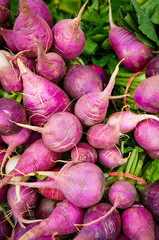 Fresh Raw Turnips at a Local Farmer's Market
