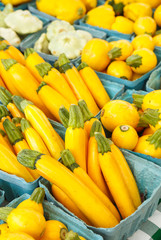 Yellow Squash at an Outdoor Market