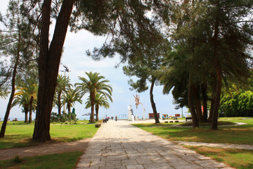 Obraz premium The road to the sea in Pitsunda. Abkhazia