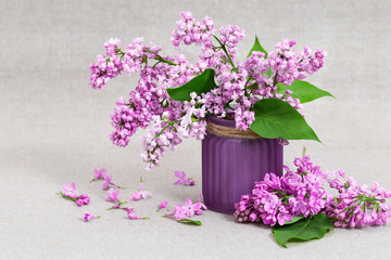 Vase with lilac flowers on cloth background with copy space. Pink lilac flowers.