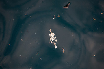 Bone doll Plastic waste on the sea . plastic pollution.Envrionmental problem - plastics contaminate seafood