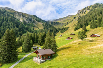 Fototapeta na wymiar Views from First Mountain in the Jungfrau Region Grindelwald, Switzerland