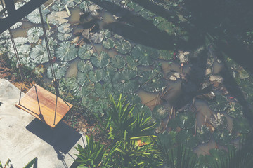 Little swing at lotus pond for rest in the day.