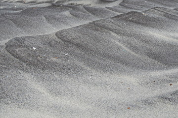 Fototapeta premium Sand. Small dunes on the beach in Alimini. The Italian coast of the Adriatic sea.