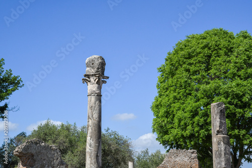 ハドリアヌスの別荘 ヴィッラ アドリアーナ 柱 ティヴォリ イタリア Wall Mural Tatsuo115