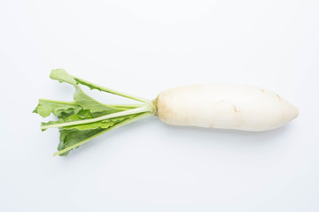 daikon radishes isolated on white