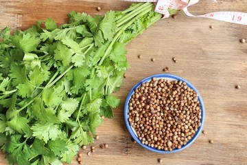 Coriander seeds and fresh
