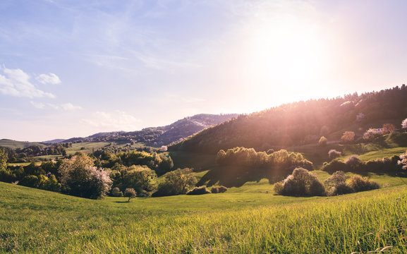 Panoramic view of landscape of meadows and woodland. Sunset in nature.