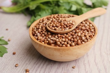 Coriander seeds and fresh