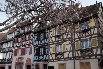 Petite Venise, oldtown of Colmar commune of the Alsace region