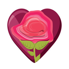 heart with beautiful flower icon over white background, colorful design. vector illustration