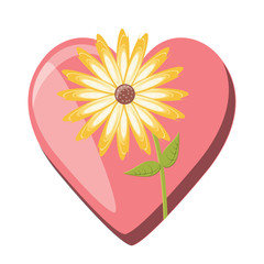 beautiful flower over heart and white background, colorful design. vector illustration