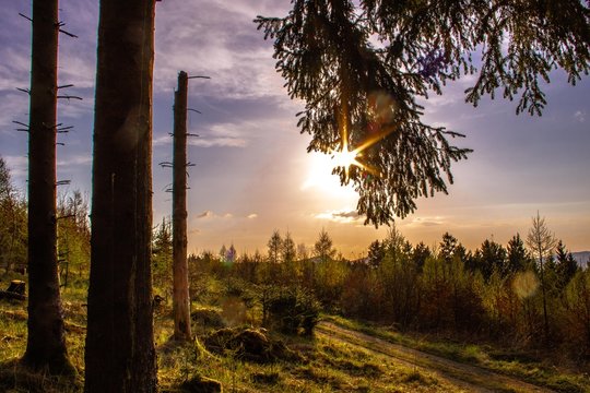Wandern