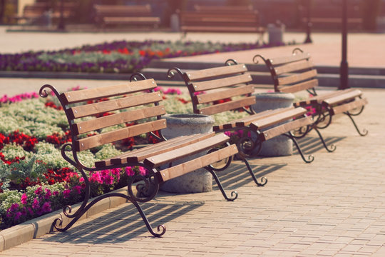Empty retro vintage benches in park 