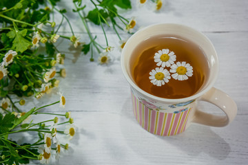 Cup of herbal tea with fresh chamomile flowers