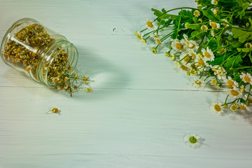 Fresh and dried chamomile for aroma and phototherapy on white wooden table