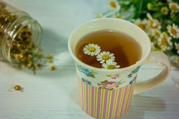 Organic herbal tea with fresh chamomile flowers