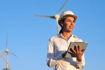 An engineer controls the functioning of wind turbines that run thanks to the force of the wind and...