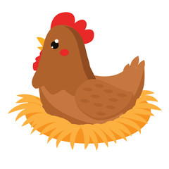 Cute hen sitting on nest. Cartoon farm bird isolated on white