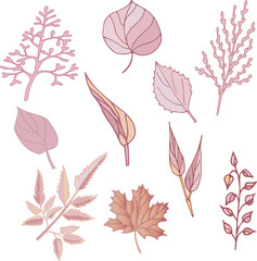 Pink peachy flower leaves. Vector drawing. Delicate peach color, pastel shades.