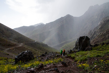 Fototapeta premium chuva