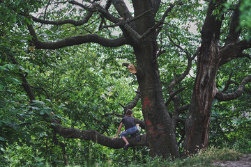 Fototapeta premium Young child blond boy climbing tree