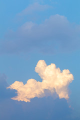 Rain clouds are forming.