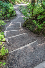 Obraz premium Path To Franklin Falls 2