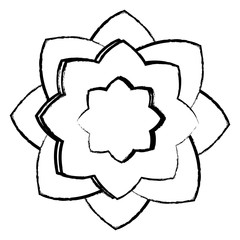sketch of beautiful flower icon over white background, vector illustration
