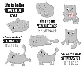 Vector cartoon set of cute gray cats with funny lettering phrases. Collection of stickers.