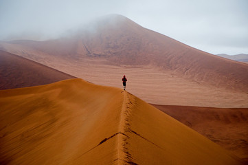Desert dunes. Natural shapes. Nature harmony