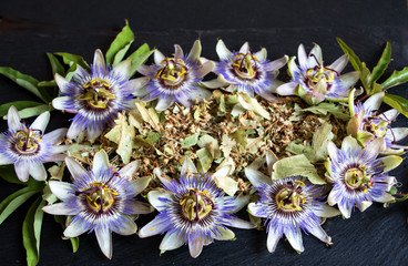 Passionsblume mit Blüten und Blättern und als Teeaufguß