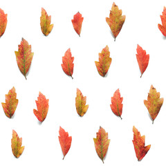 Seamless Pattern With Colorful Autumn Leaves