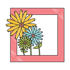 decorative frame with beautiful flowers over white background, colorful design. vector illustration