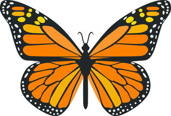 Orange Butterfly