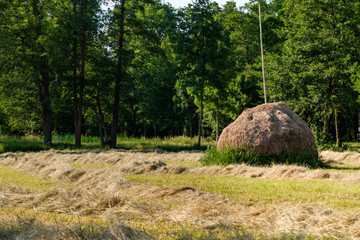 Spreewald Biosph&auml;renreservat Urlaubsregion traditioneller Heuschober