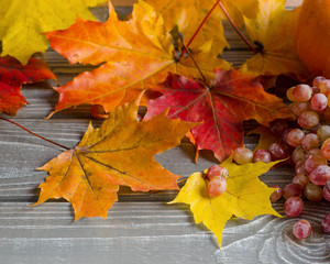 Autumn background on boards