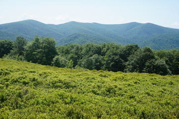 Obraz premium Bieszczady Mountains in Poland