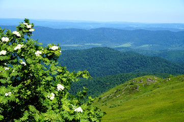 Obraz premium Bieszczady Mountains in Poland