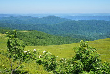 Obraz premium Bieszczady Mountains in Poland