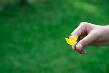 The boy holds flowers from the garden.