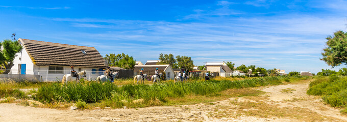 Promenade à cheval dans campagne camarguaise en Provence, France - obrazy, fototapety, plakaty