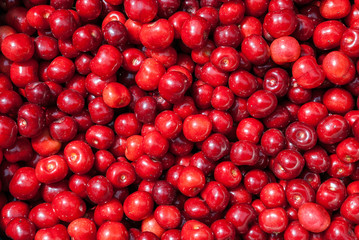 Cherry. Red fresh bunch of cherries