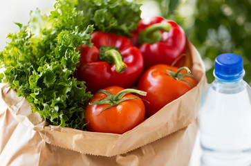 food, diet and healthy eating concept - close up of paper bag with fresh vegetables and water bottle over green natural background