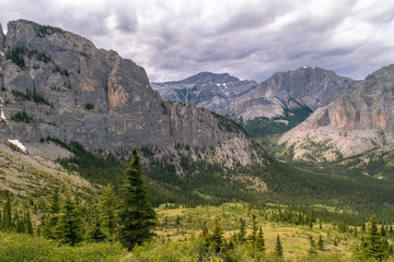 Fototapeta premium Rocky Mountain Backyard 