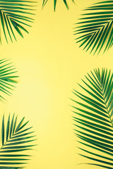 Fototapeta na wymiar Tropical palm leaves on pastel yellow background. Minimal summer concept. Creative flat lay with copy space. Top view green leaf on punchy pastel paper