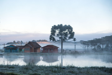 Geada cobre os campos da Serra Catarinense