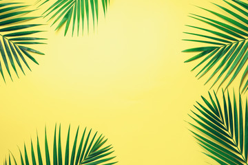 Tropical palm leaves on pastel yellow background. Minimal summer concept. Creative flat lay with...